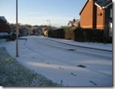 Snowy Bedlington 2008-11-22